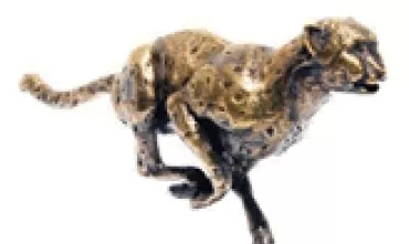 gepard